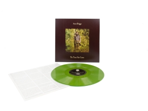 Briggs Anne - The Time Has Come (Green Vinyl) in the group OUR PICKS / Friday Releases / 2025-01-31 at Bengans Skivbutik AB (5579115)