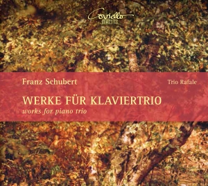 Franz Schubert - Works For Piano Trio in the group CD / Klassiskt at Bengans Skivbutik AB (5580506)