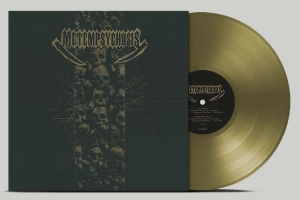 Metempsychosis - Metempsychosis (Gold Vinyl) - Rsd 2025 in the group OUR PICKS / Record Store Day / RSD 2025 at Bengans Skivbutik AB (5582308)