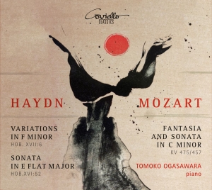 Haydn & Mozart - Piano Works in the group CD / Klassiskt at Bengans Skivbutik AB (5582494)