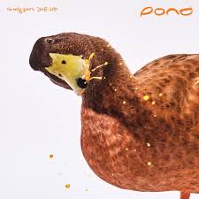 Pond - Early Years: 2008 - 2010 (180G/2Lp)  (Rsd2025) in the group OUR PICKS / Record Store Day / RSD 2025 at Bengans Skivbutik AB (5582630)