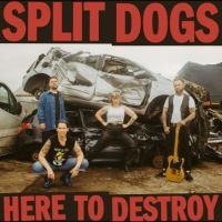 Split Dogs - Here To Destroy in the group VINYL / Upcoming releases / Pop-Rock at Bengans Skivbutik AB (5584144)