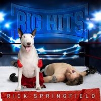 Rick Springfield - Big Hits: Rick Springfield's Greate in the group CD / Upcoming releases / Pop-Rock at Bengans Skivbutik AB (5584159)