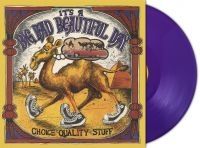 Its A Beautiful Day - Choice Quality Stuff (Purple Vinyl in the group VINYL / Upcoming releases / Pop-Rock at Bengans Skivbutik AB (5584479)