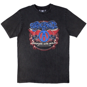 Aerosmith - Rainbow Spade Stone Wash Uni Char T-Shirt in the group MERCHANDISE / T-shirt / Hårdrock at Bengans Skivbutik AB (5586738r)