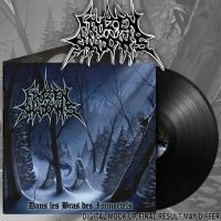 Frozen Shadows - Dans Les Bras Des Immortels (Black in the group VINYL / Upcoming releases / Hårdrock at Bengans Skivbutik AB (5587429)