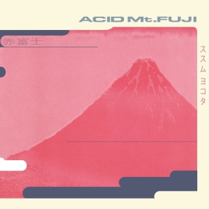 Susumu Yokota - Acid Mt. Fuji in the group Dance-Techno at Bengans Skivbutik AB (5587624)