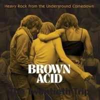 Various Artists - Brown Acid - The Twentieth Trip in the group VINYL / Upcoming releases / Pop-Rock at Bengans Skivbutik AB (5589497)