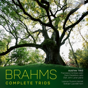 Johannes Brahms - Complete Trios in the group CD / Upcoming releases / Classical at Bengans Skivbutik AB (5589862)