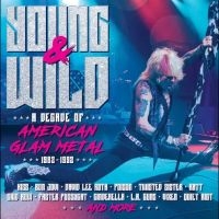 Various Artists - Young And Wild - A Decade Of Americ in the group CD / Upcoming releases / Pop-Rock at Bengans Skivbutik AB (5590131)