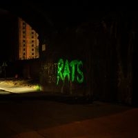 Rats - Rule The World in the group CD / Upcoming releases / Pop-Rock at Bengans Skivbutik AB (5590546)