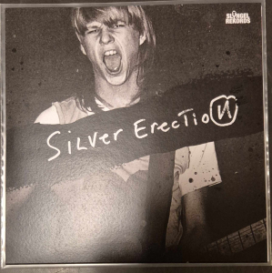 Silver Erection - Politics in the group VINYL / New releases / Punk at Bengans Skivbutik AB (5590609)