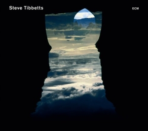 Steve Tibbetts Marc Anderson - Natural Causes in the group CD / Jazz at Bengans Skivbutik AB (568273)