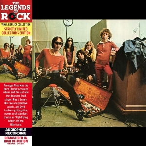 Flamin Groovies - Teenage Head in the group CD / Pop-Rock at Bengans Skivbutik AB (568565)