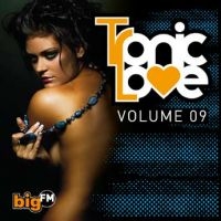 Blandade Artister - Big Fm Tronic Love 9 in the group CD / Dance-Techno at Bengans Skivbutik AB (569189)