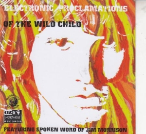 Jim Morrison - Electronic Proclamations Of The Wild Child in the group CD / Pop at Bengans Skivbutik AB (592533)