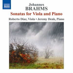 Brahms - Viola Sonatas in the group OUR PICKS / Christmas gift tip CD at Bengans Skivbutik AB (594408)