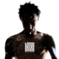 Tricky - False Idols in the group CD / Pop-Rock at Bengans Skivbutik AB (602367)