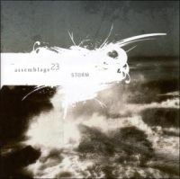 Assemblage 23 - Storm in the group CD / Pop-Rock at Bengans Skivbutik AB (603524)