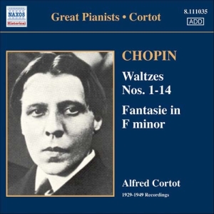 Chopin - Waltzes & Impromptus in the group OUR PICKS / Christmas gift tip CD at Bengans Skivbutik AB (607272)