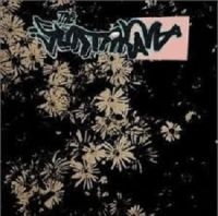 Suntanama - Another in the group CD / Pop-Rock at Bengans Skivbutik AB (611702)