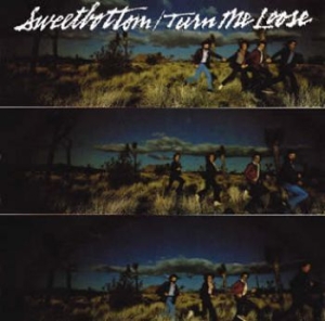 Sweetbottom - Turn Me Loose in the group CD / Rock at Bengans Skivbutik AB (612525)