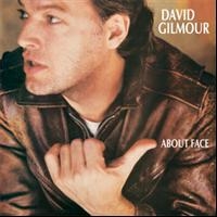 DAVID GILMOUR - ABOUT FACE in the group OUR PICKS / Christmas gift tip CD at Bengans Skivbutik AB (618028)