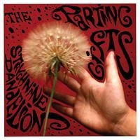 Parting Gifts - Strychnine Dandelions in the group CD / Pop-Rock at Bengans Skivbutik AB (622507)