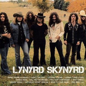 Lynyrd Skynyrd - Icon in the group CD / Pop-Rock at Bengans Skivbutik AB (622752)
