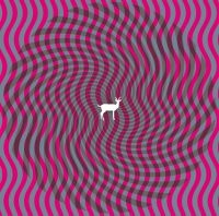 Deerhunter - Cryptograms in the group CD / Pop-Rock at Bengans Skivbutik AB (629882)