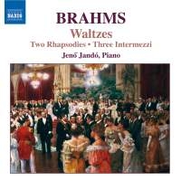 Brahms: Jando - Waltzes, Op.39 in the group OUR PICKS / Christmas gift tip CD at Bengans Skivbutik AB (646183)