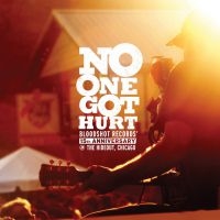 Various Artists - No One Got Hurt in the group CD / Pop-Rock at Bengans Skivbutik AB (655397)