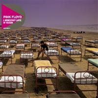 PINK FLOYD - A MOMENTARY LAPSE OF REASON in the group OUR PICKS / Christmas gift tip CD at Bengans Skivbutik AB (657070)