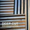 Deep Cut - Disorientation in the group CD / Pop-Rock at Bengans Skivbutik AB (671508)