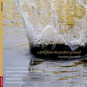 Various Composers - A Fall From The Perfect Ground in the group OUR PICKS / Christmas gift tip CD at Bengans Skivbutik AB (682255)