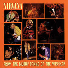 Nirvana - From The Muddy Banks in the group CD / Pop-Rock at Bengans Skivbutik AB (682841)