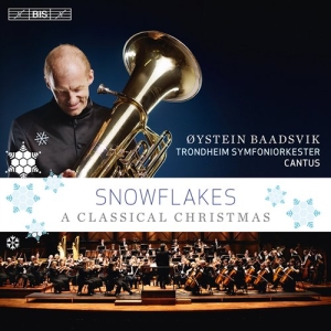 Öystein Baadsvik - Snowflakes in the group Externt_Lager /  at Bengans Skivbutik AB (683570)
