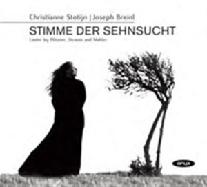 Pfitzner / Strauss / Mahler - Stimme Der Sehnsucht in the group CD at Bengans Skivbutik AB (693846)