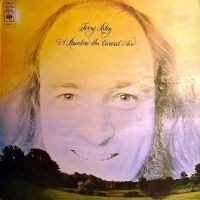 Riley Terry - A Rainbow In Curved Air in the group CD / Rock at Bengans Skivbutik AB (694277)