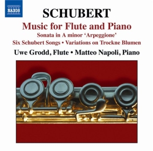 Schubert - Flute And Piano Music in the group OUR PICKS / Christmas gift tip CD at Bengans Skivbutik AB (696092)