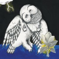 Songs: Ohia - Magnolia Electric Co. (Deluxe Ed.) in the group VINYL / Country,Pop-Rock at Bengans Skivbutik AB (780812)