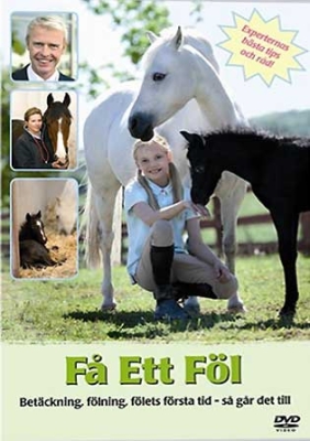 Film - Få Ett Föl in the group OTHER / Music-DVD & Bluray at Bengans Skivbutik AB (825234)