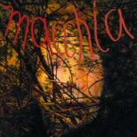 Fuchs/Heemann/Van Luijk - Macchia Forest in the group VINYL / Pop-Rock at Bengans Skivbutik AB (924010)