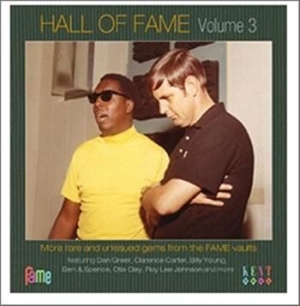 Various Artists - Hall Of Fame Volume 3 in the group CD at Bengans Skivbutik AB (953822)