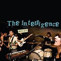 Intelligence - Males in the group CD / Rock at Bengans Skivbutik AB (956462)