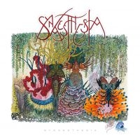 Synaesthesia - Synaesthesia in the group CD / Pop-Rock at Bengans Skivbutik AB (983530)