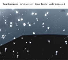 Tord Gustavsensimin Tander Jarle - What Was Said