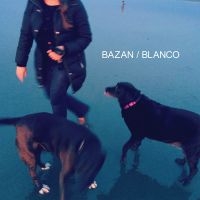 Bazan David - Blanco