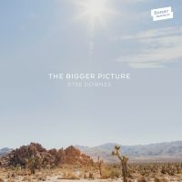 Downes Stee - Bigger Picture