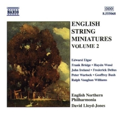 Various - Eng String Miniatures 2